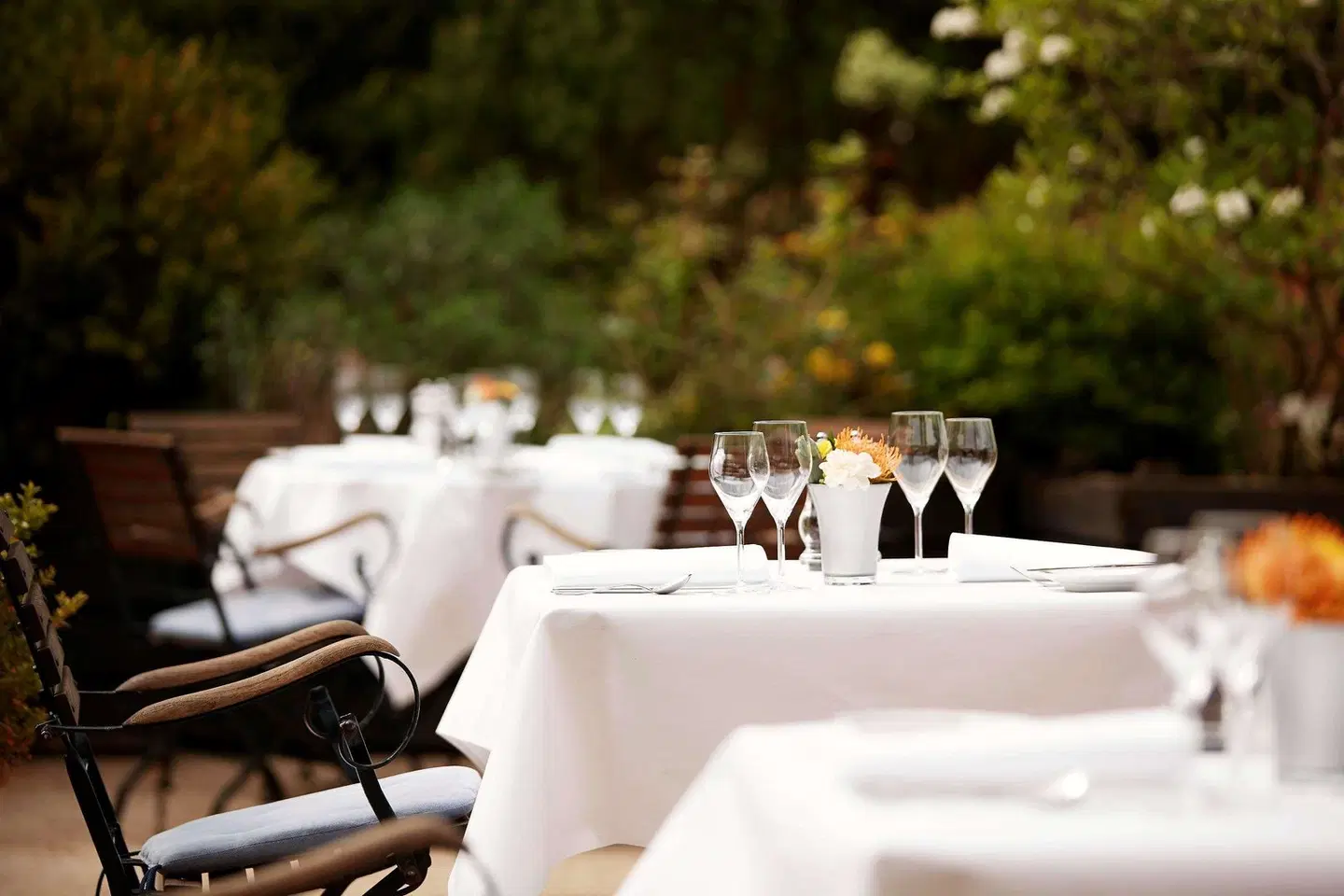 Steigenberger Conti-Hansa Terrasse