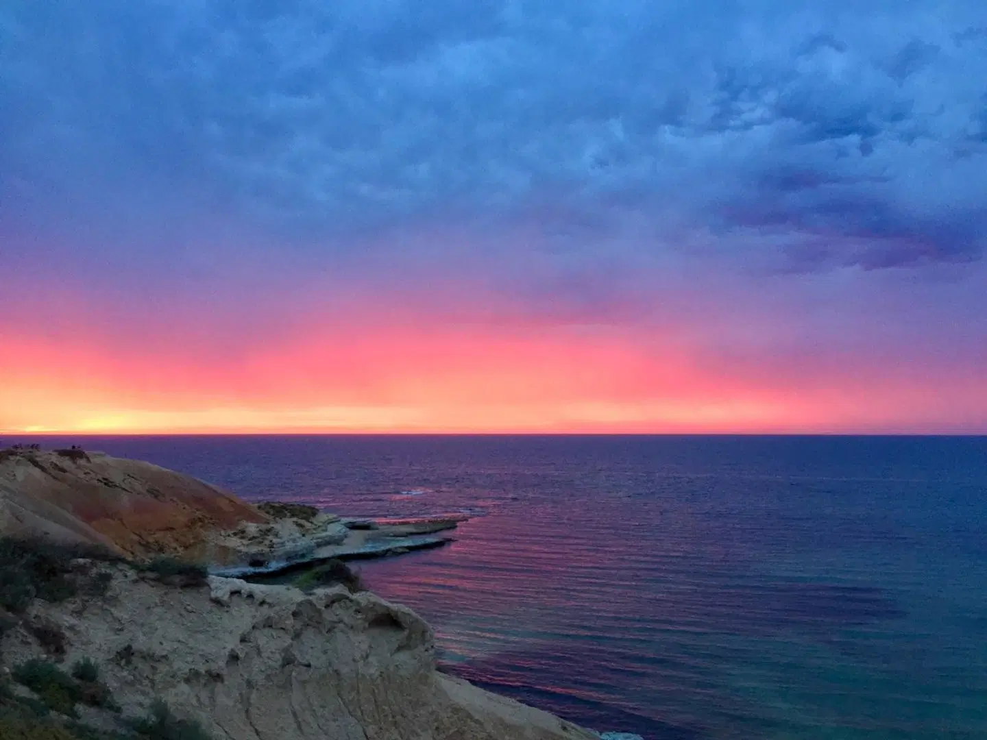 Coast Motel and Apartments LANDSCAPE