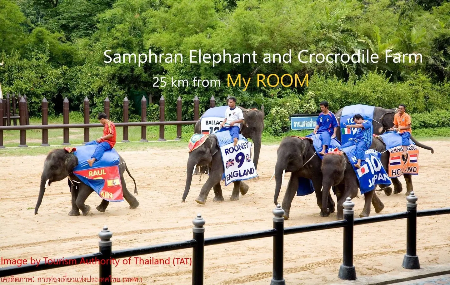 My ROOM Nakhonpathom SPORTS_AND_LEISURE