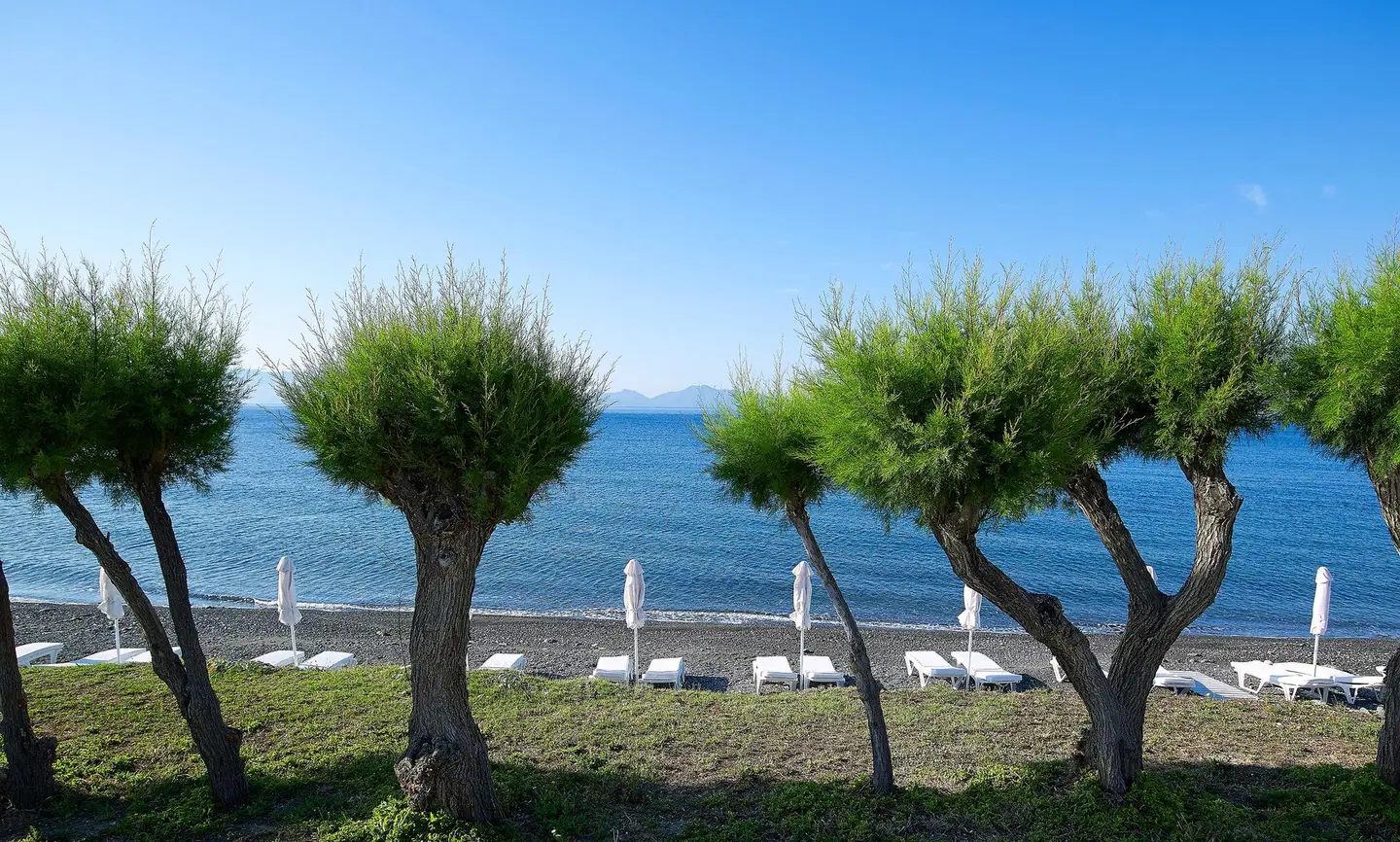 Dimitra Beach Hotel & Suites BEACH