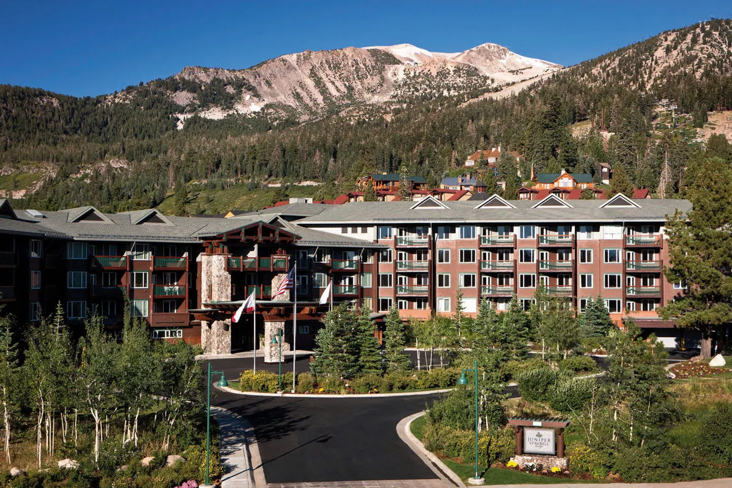 Juniper Springs Resort BAR
