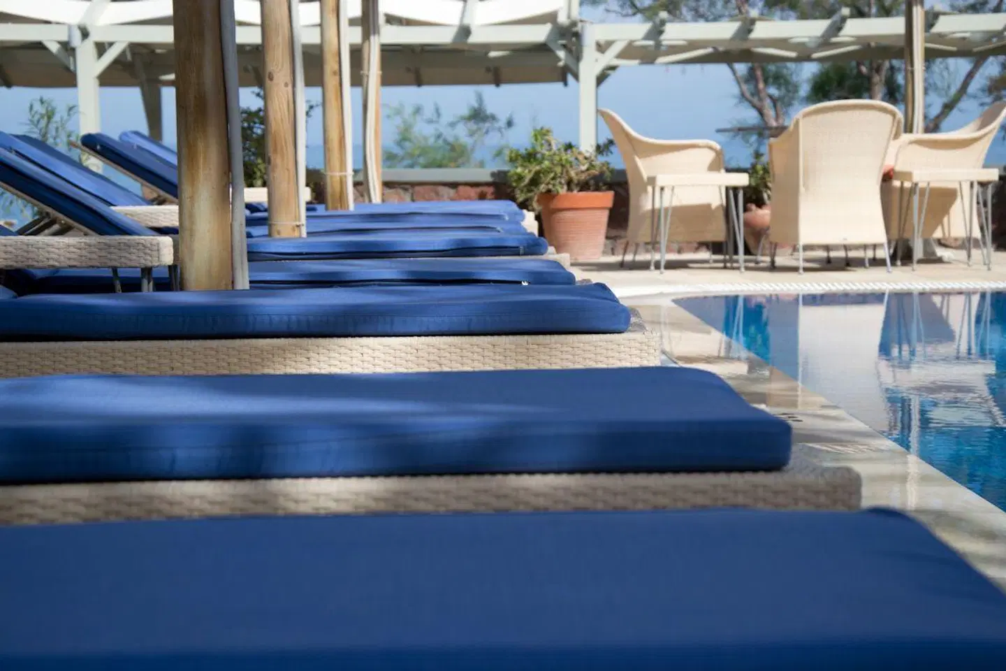 Elixir Studios OUTDOOR_POOL