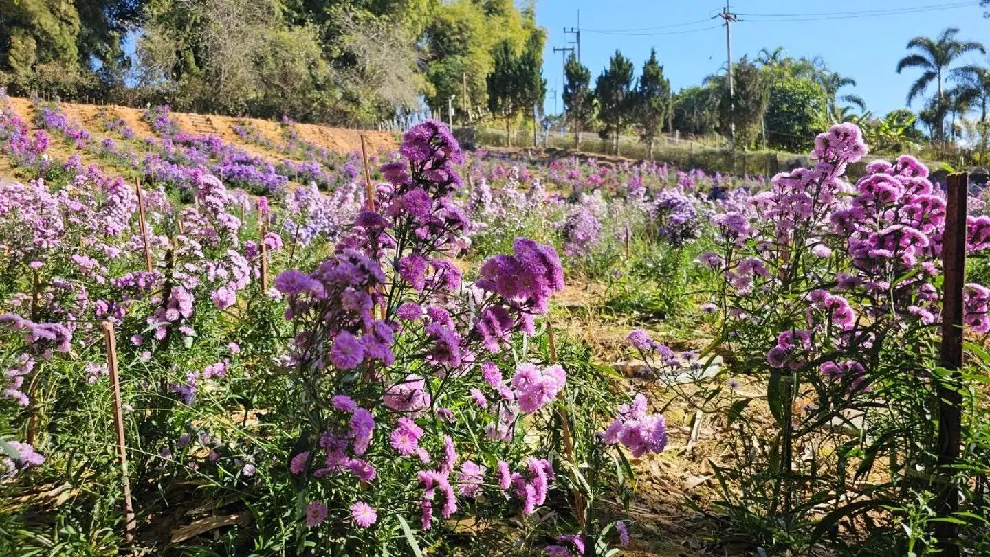 Sainamtok Resort GARDEN