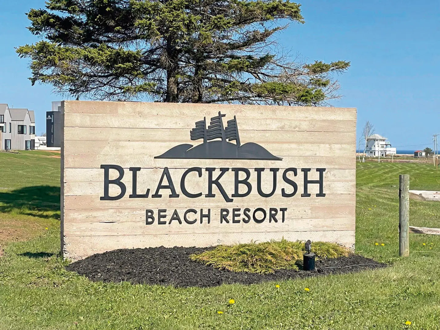 Blackbush Beach Resort LANDSCAPE