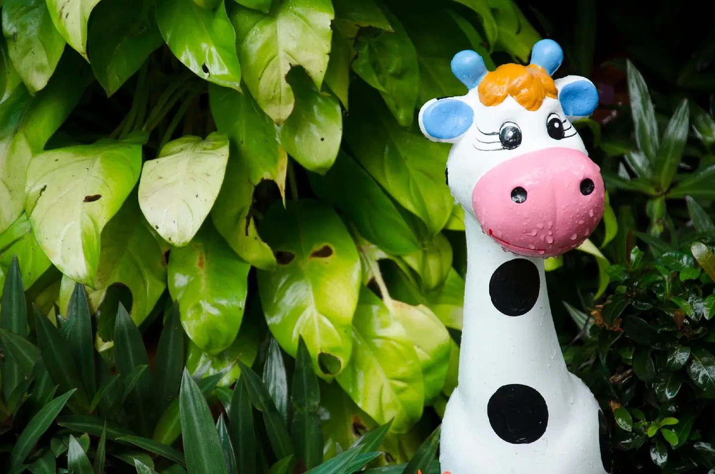 The Sylvana Pai Hotel Tiere