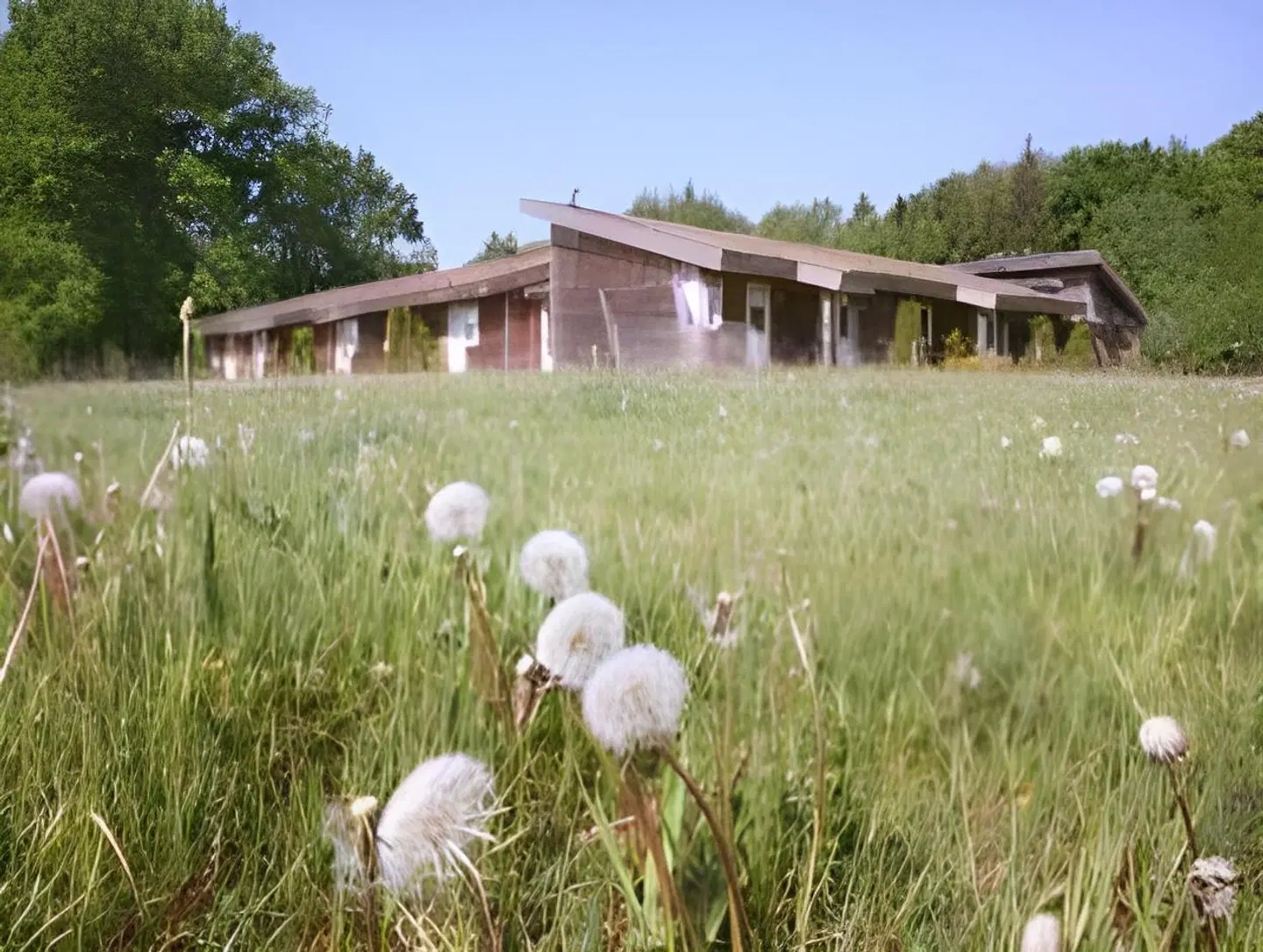 Landhotel Diever Tiere