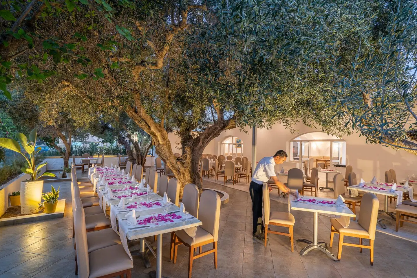 Le Hammamet Hotel & Spa Terrasse