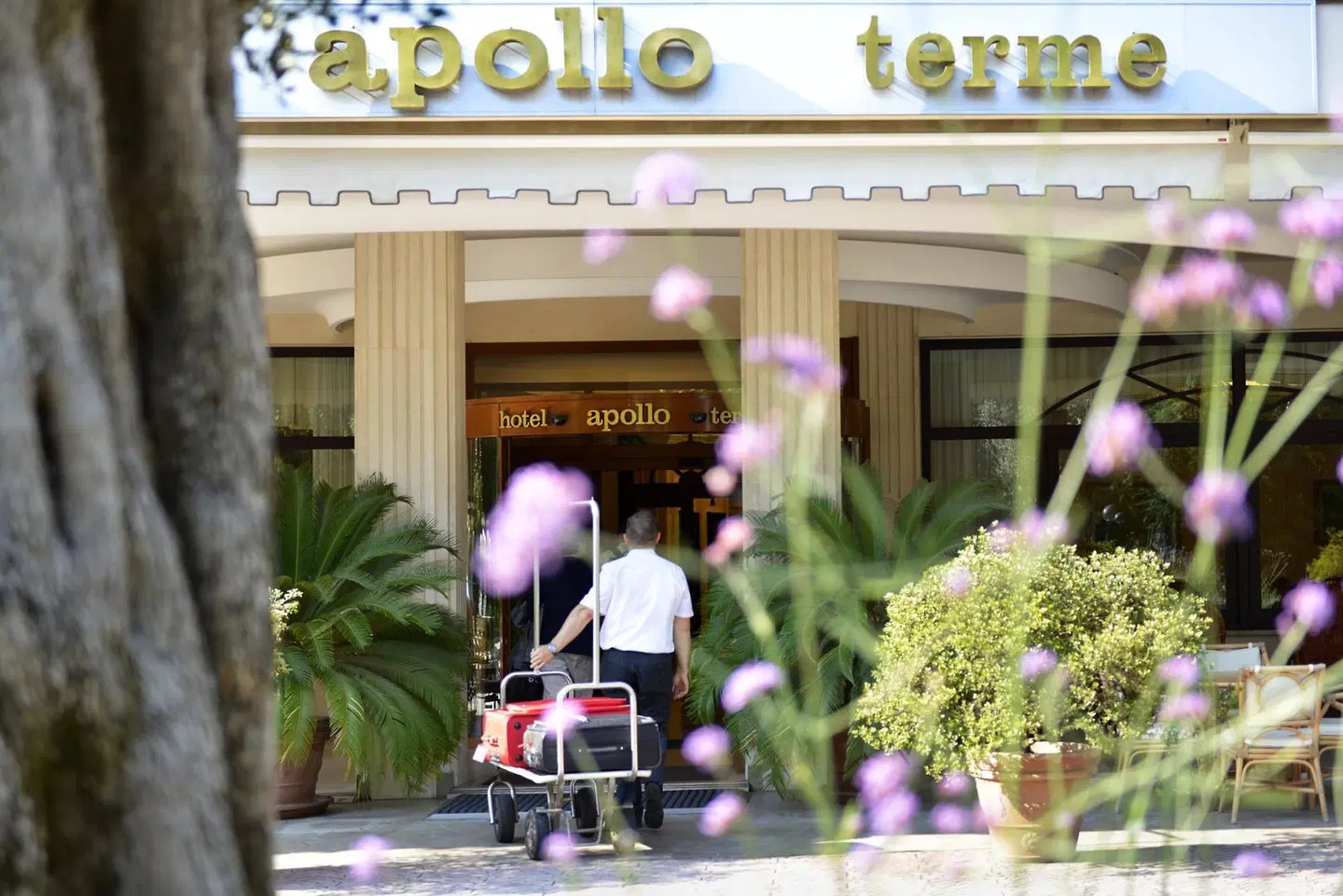Hotel Apollo Terme EXTERIOR