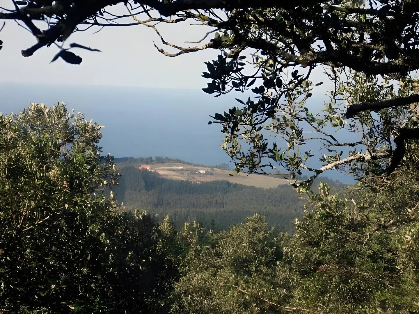 H&AP Rural Merrutxu LANDSCAPE