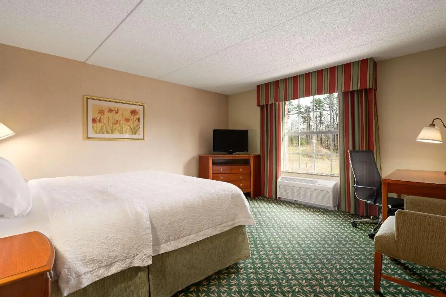 Hampton Inn & Suites Williamsburg-Central ROOM_EXAMPLE