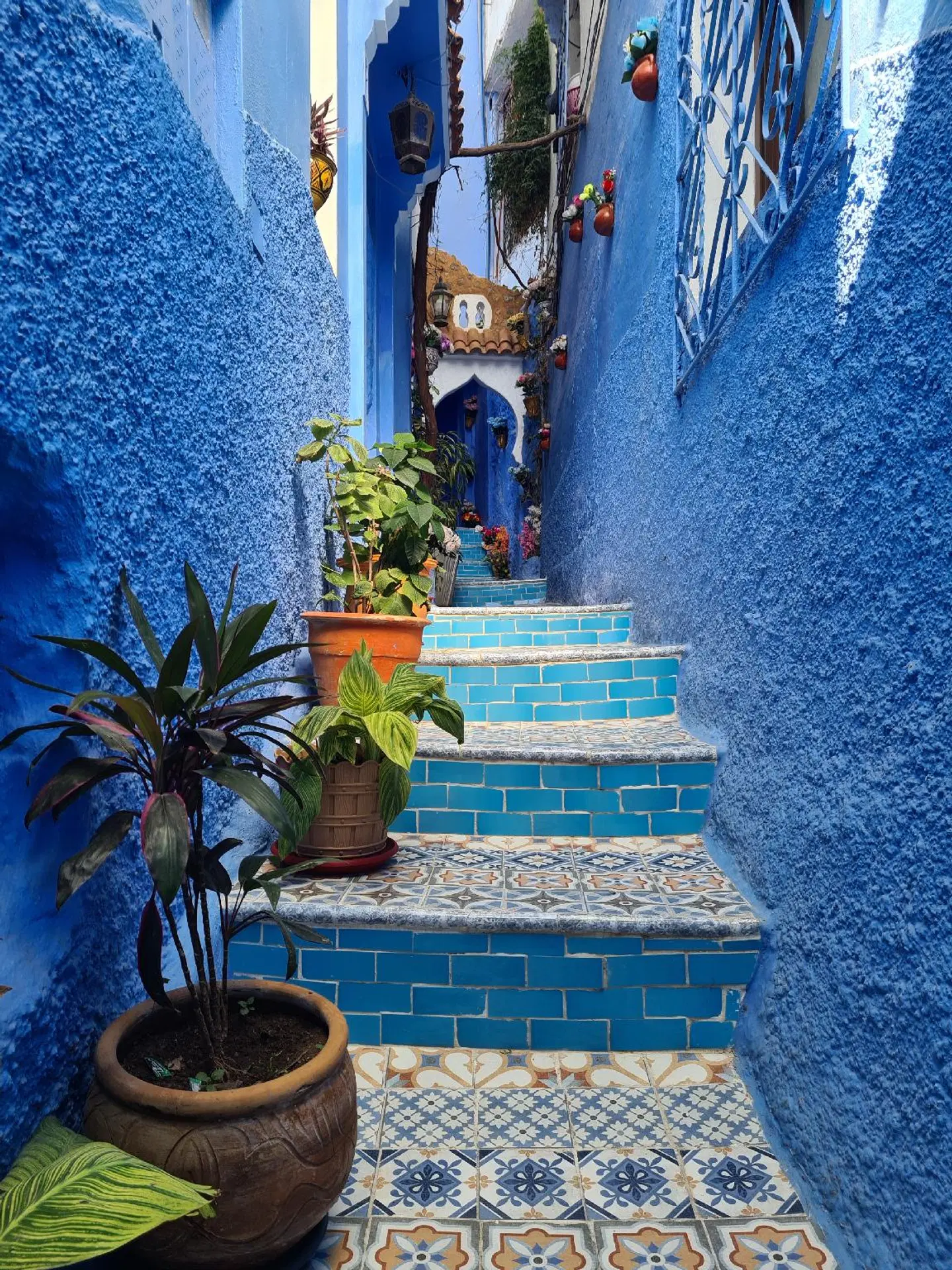 Casa Blue Star HEALTH_BEAUTY