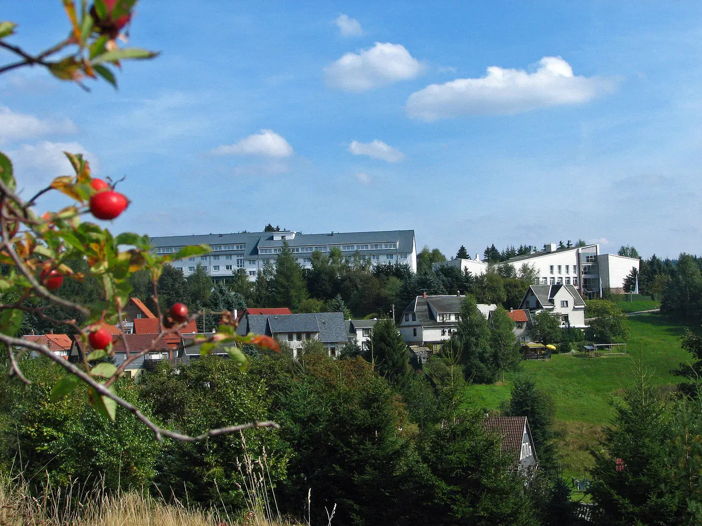 Werrapark Resort Hotel Heubacher Höhe LANDSCAPE