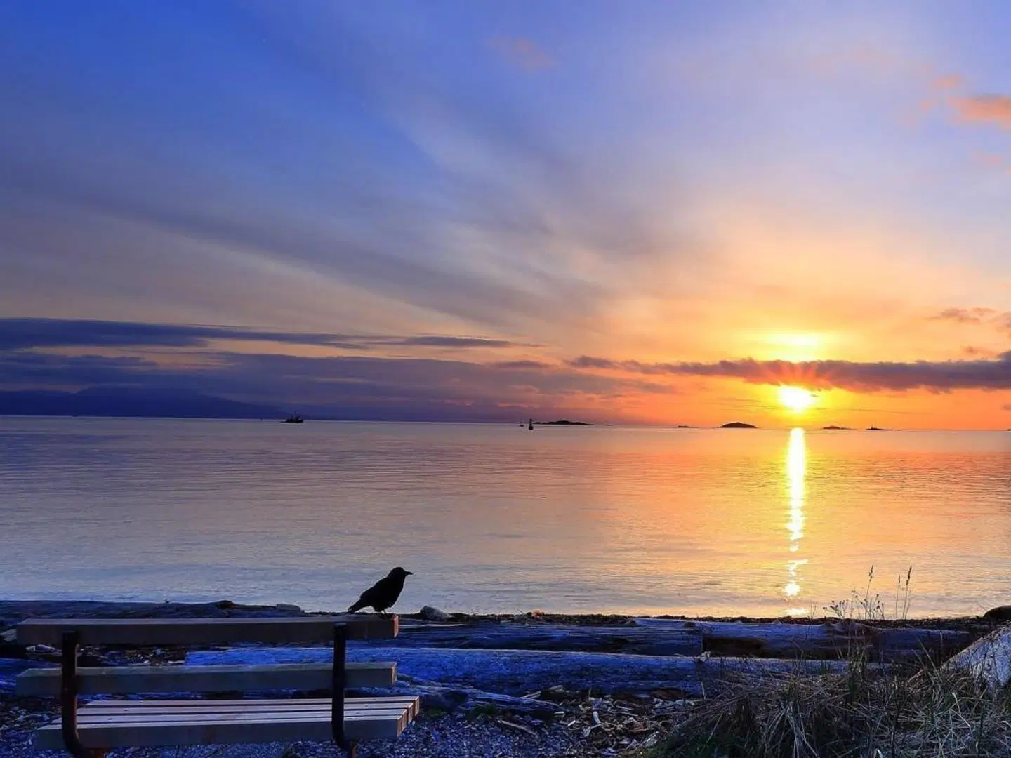 Glen Lyon Inn LANDSCAPE