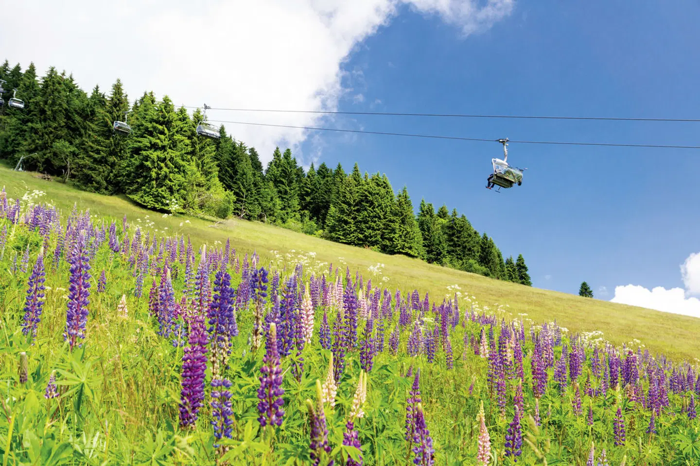 Hotel Miriquidi LANDSCAPE