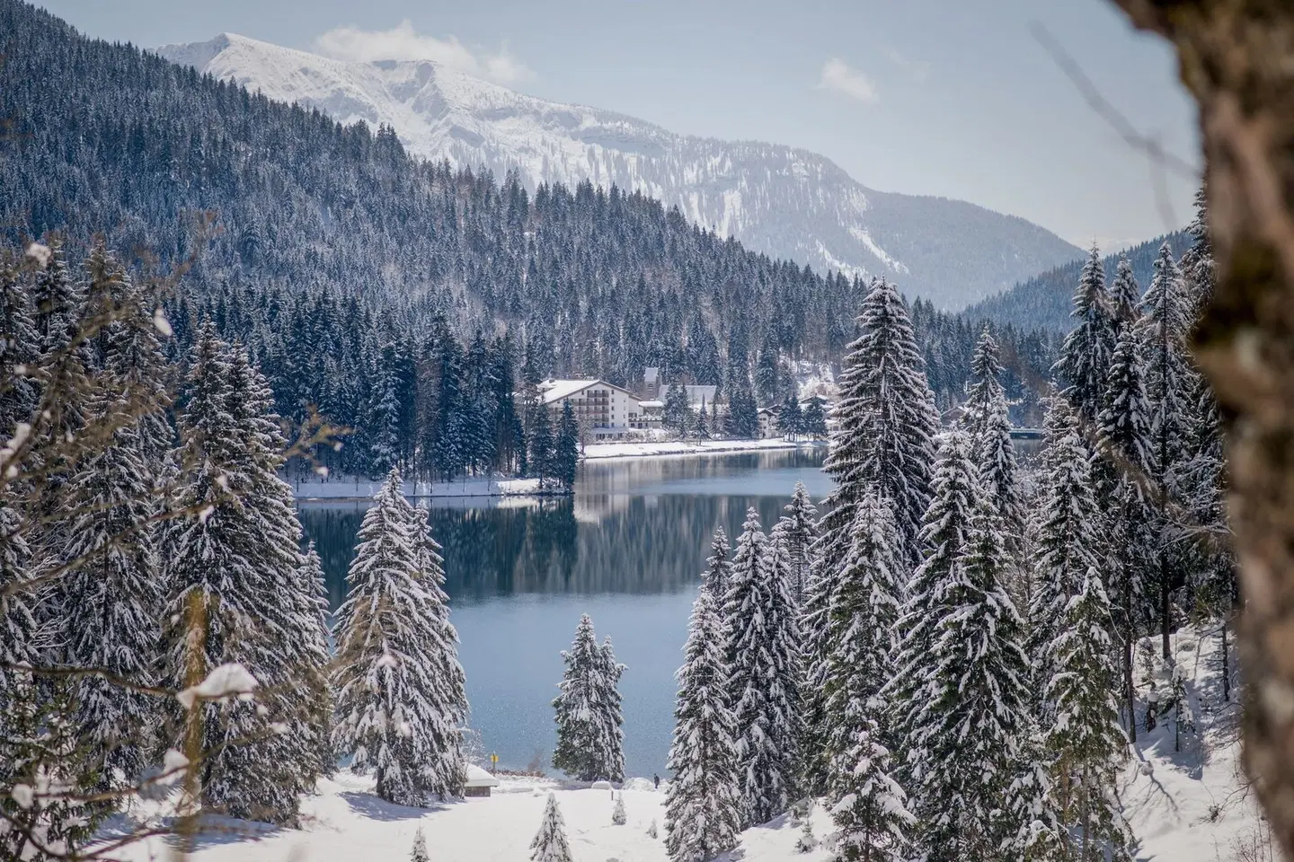 Arabella Alpenhotel am Spitzingsee, a Tribute Portfolio Hotel LANDSCAPE