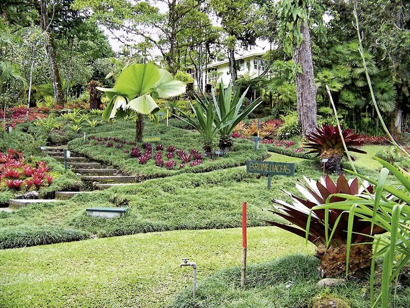 Pura Vida - Costa Rica hautnah (Privatreise) Garten