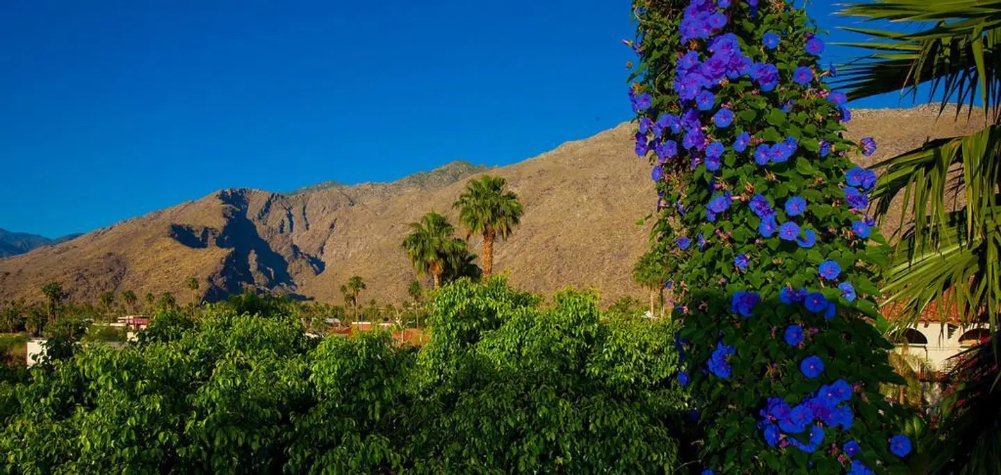 Best Western Plus Las Brisas Hotel LANDSCAPE