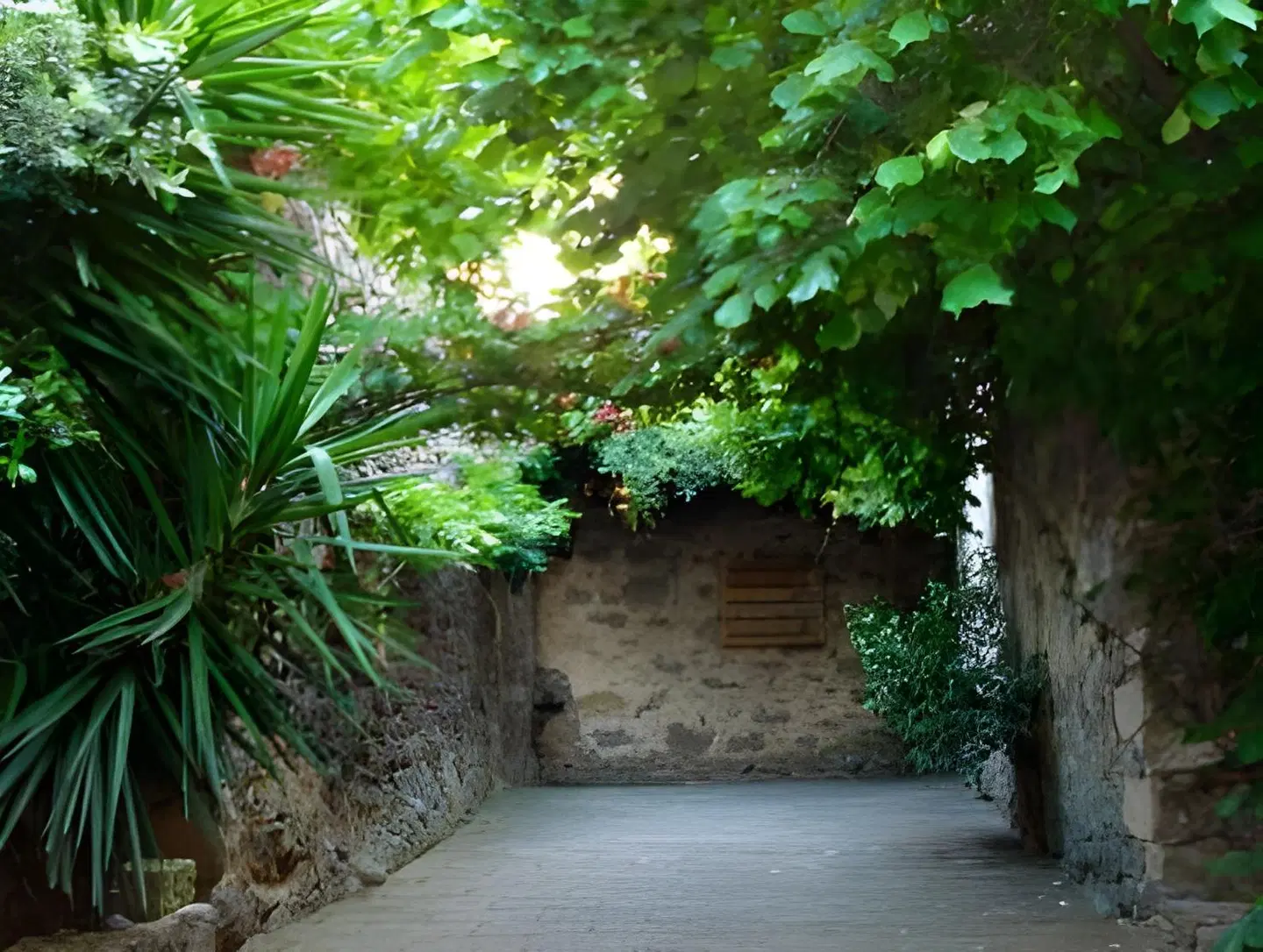 Sa Mola Villa Maria Francesca Garten