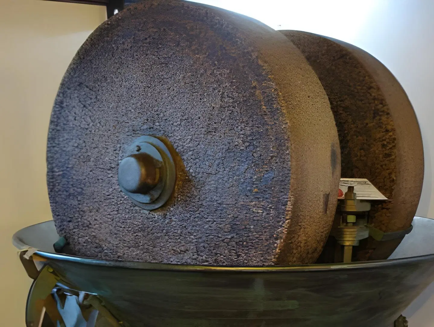 Sa Mola Villa Maria Francesca ANIMAL