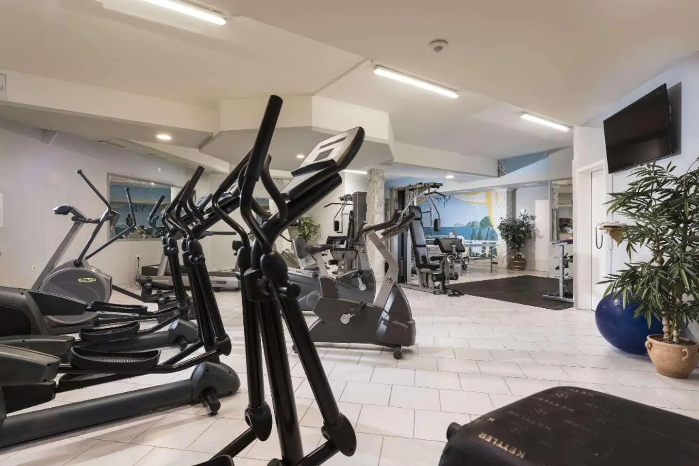 Maritim TitiseeHotel Titisee-Neustadt SPORTS_AND_LEISURE