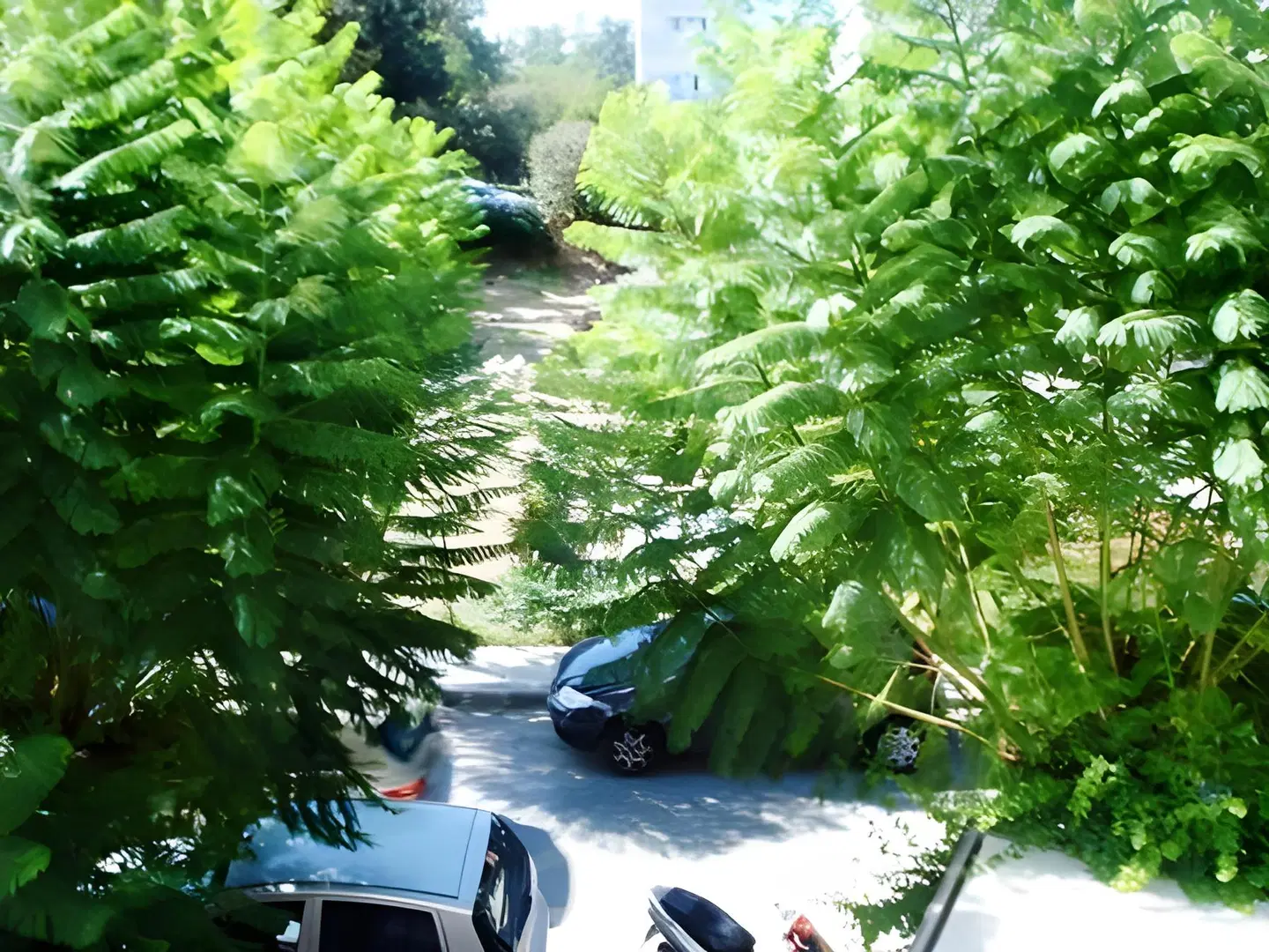 Maritina Hotel GARDEN