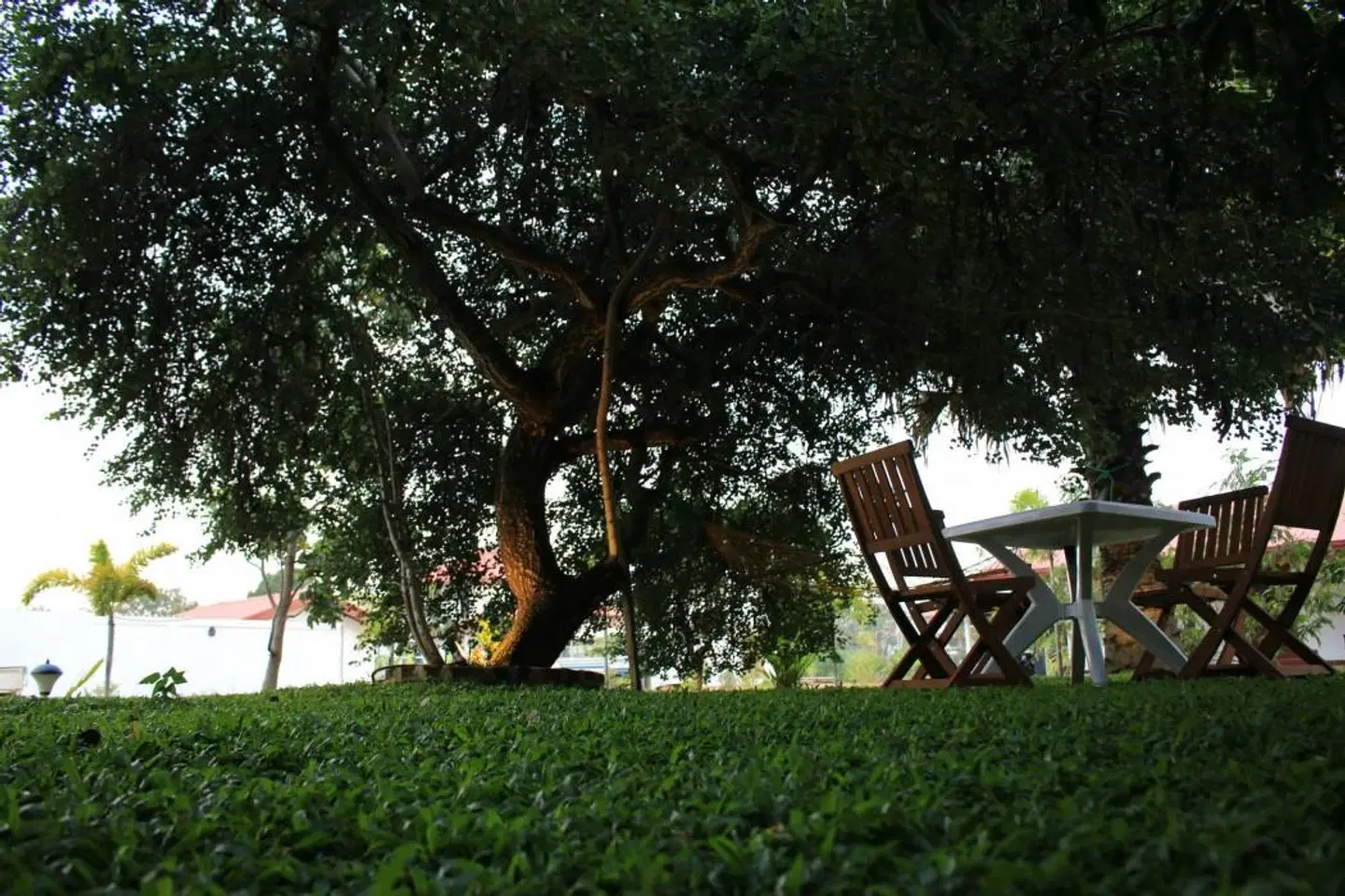 Freedom Village Garten