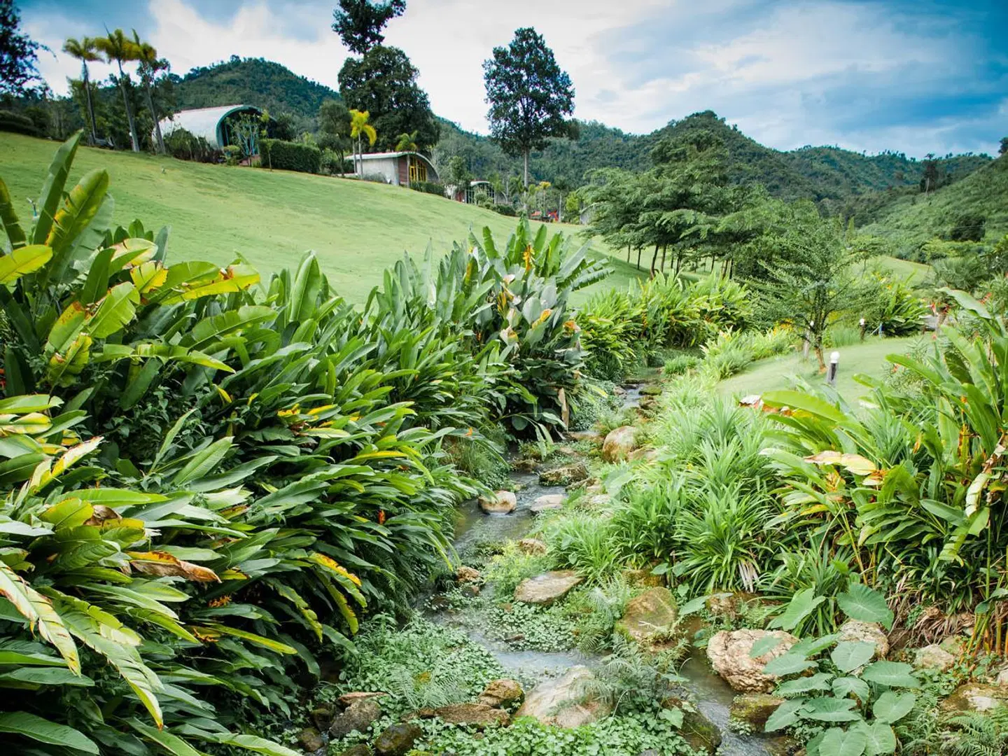 The Banyan Leaf Resort LANDSCAPE