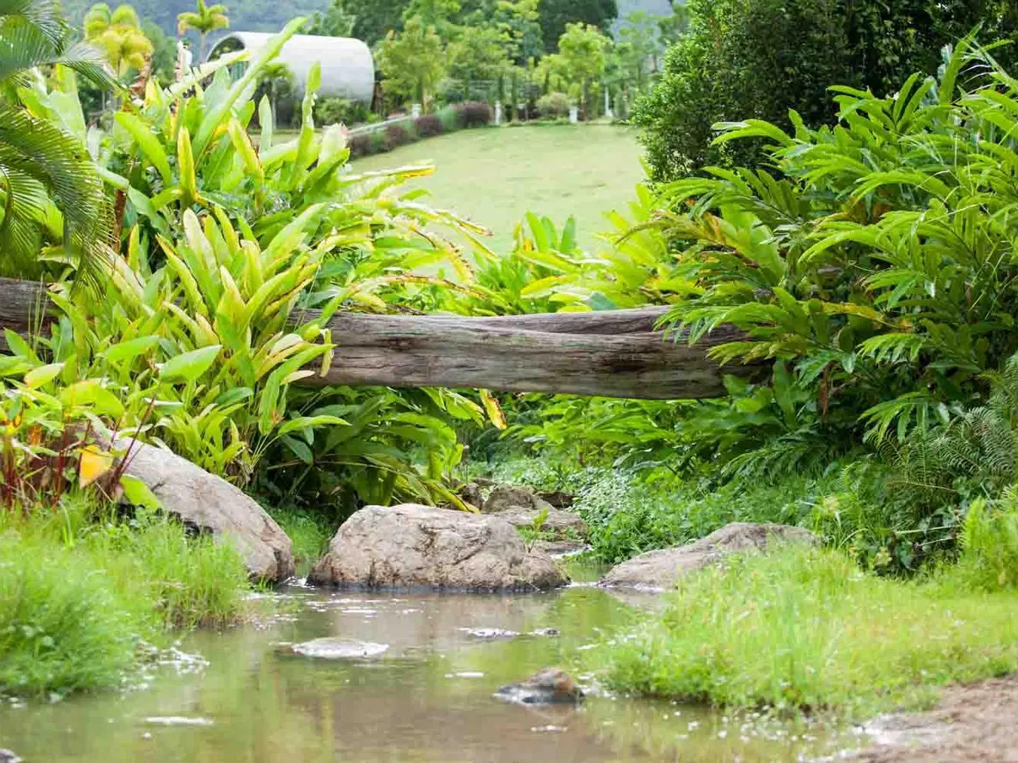 The Banyan Leaf Resort GARDEN