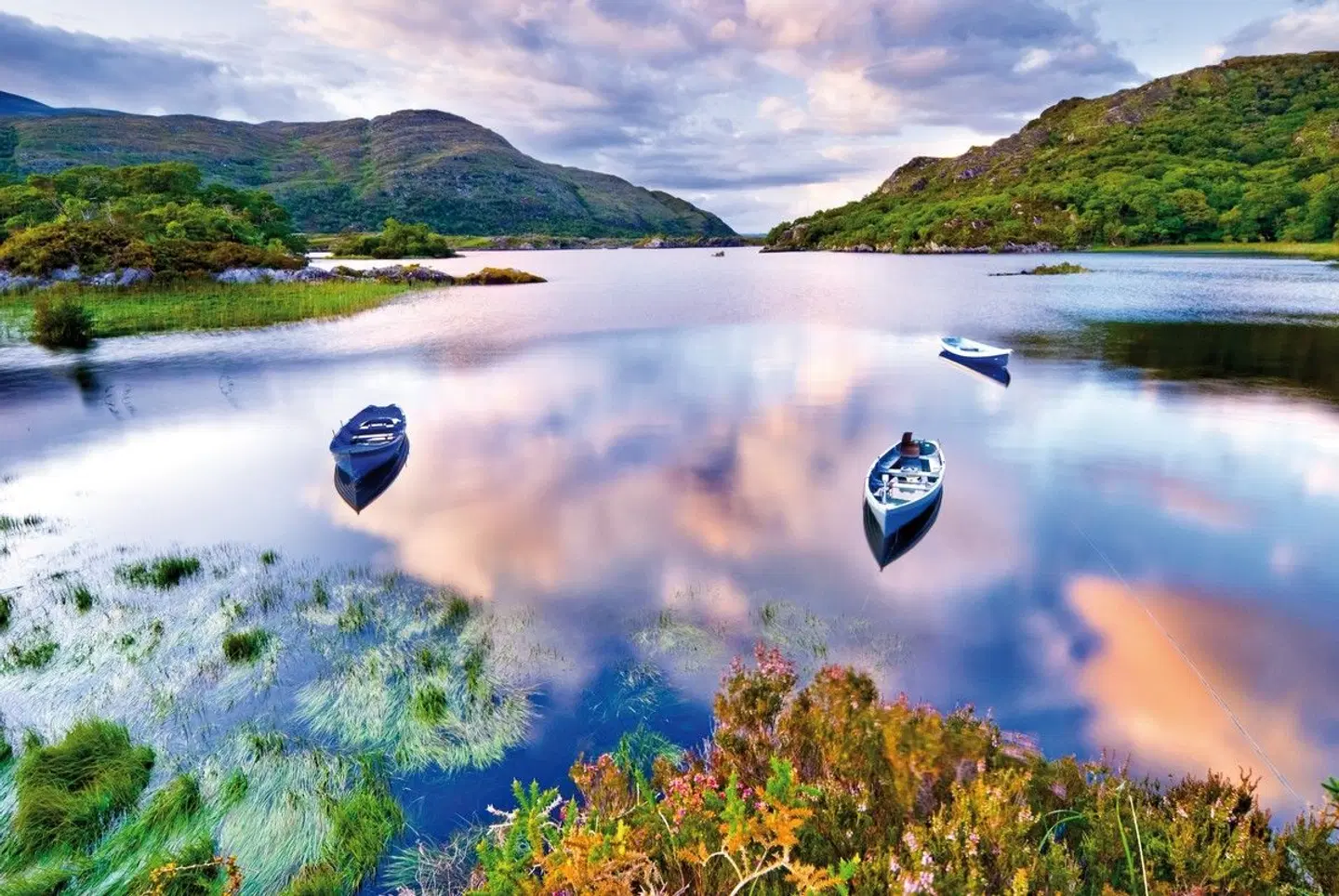 Höhepunkte rund um Killarney plus LANDSCAPE