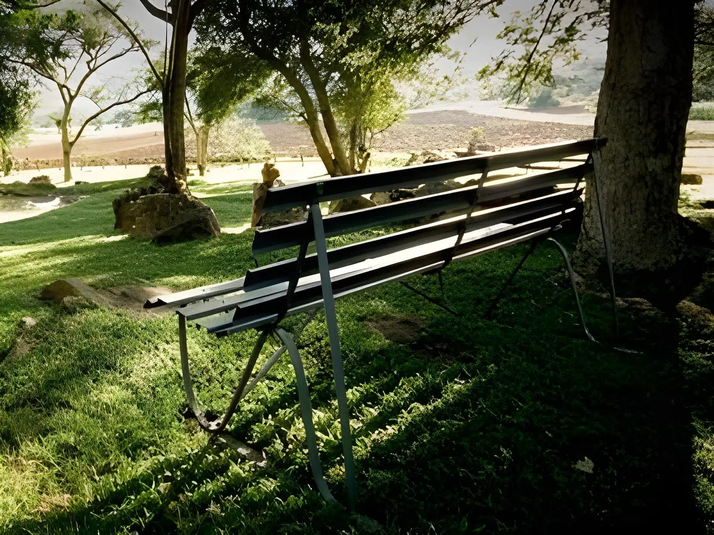 Caracal Lodge Garten