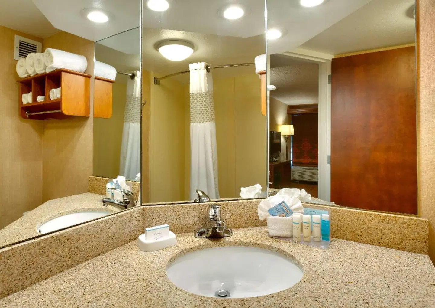 Hampton Inn Salt Lake City/Sandy BATHROOM