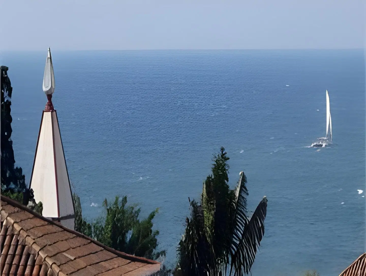 Madeira Bright Star LANDSCAPE