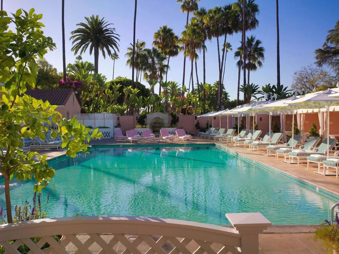 The Beverly Hills Hotel - Dorchester Collection OUTDOOR_POOL