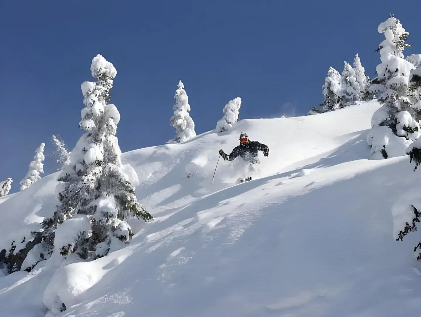 Chalet Laura Lodge Hotel SPORTS_AND_LEISURE