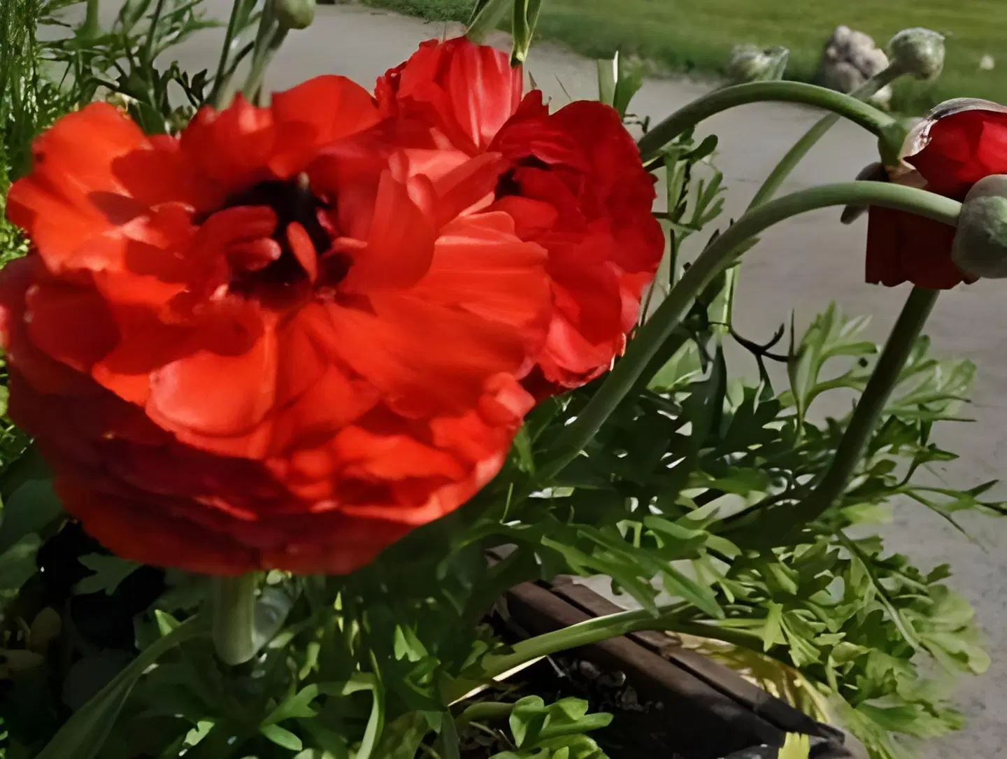 Moulin de Rudelle LANDSCAPE