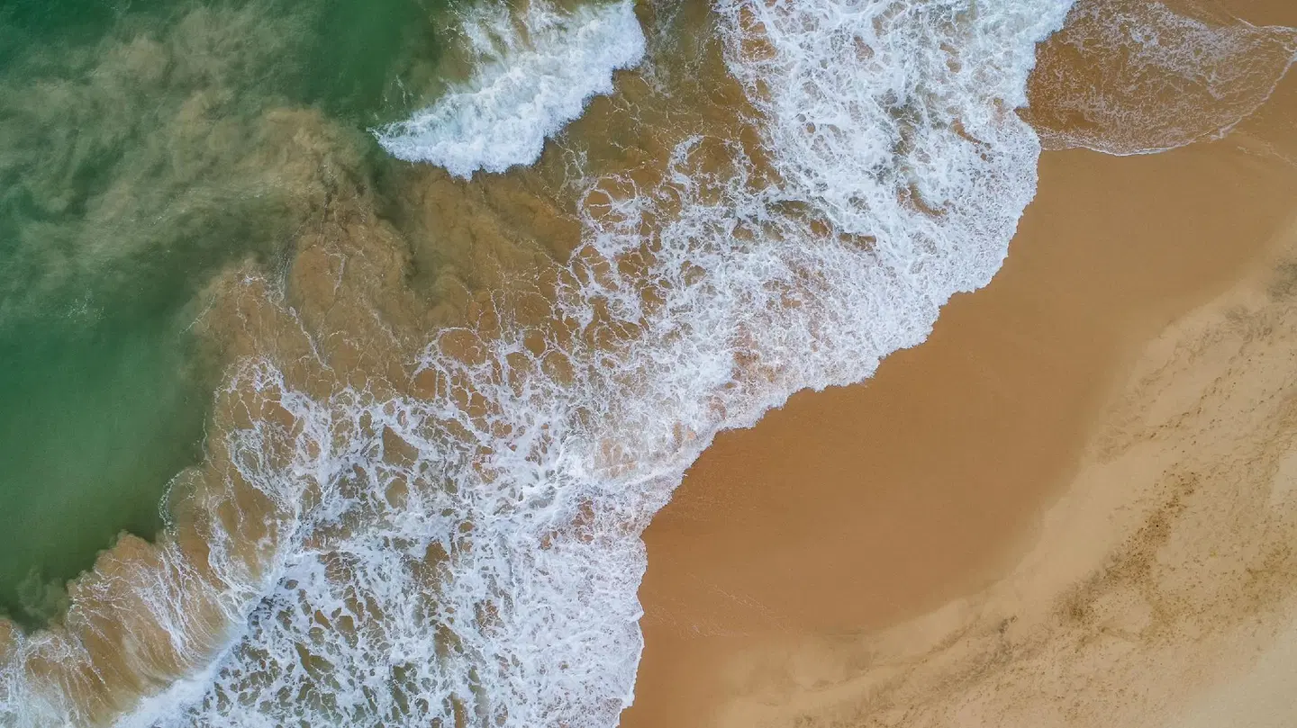 OYO 352 Sea Breeze Hotel ANIMAL