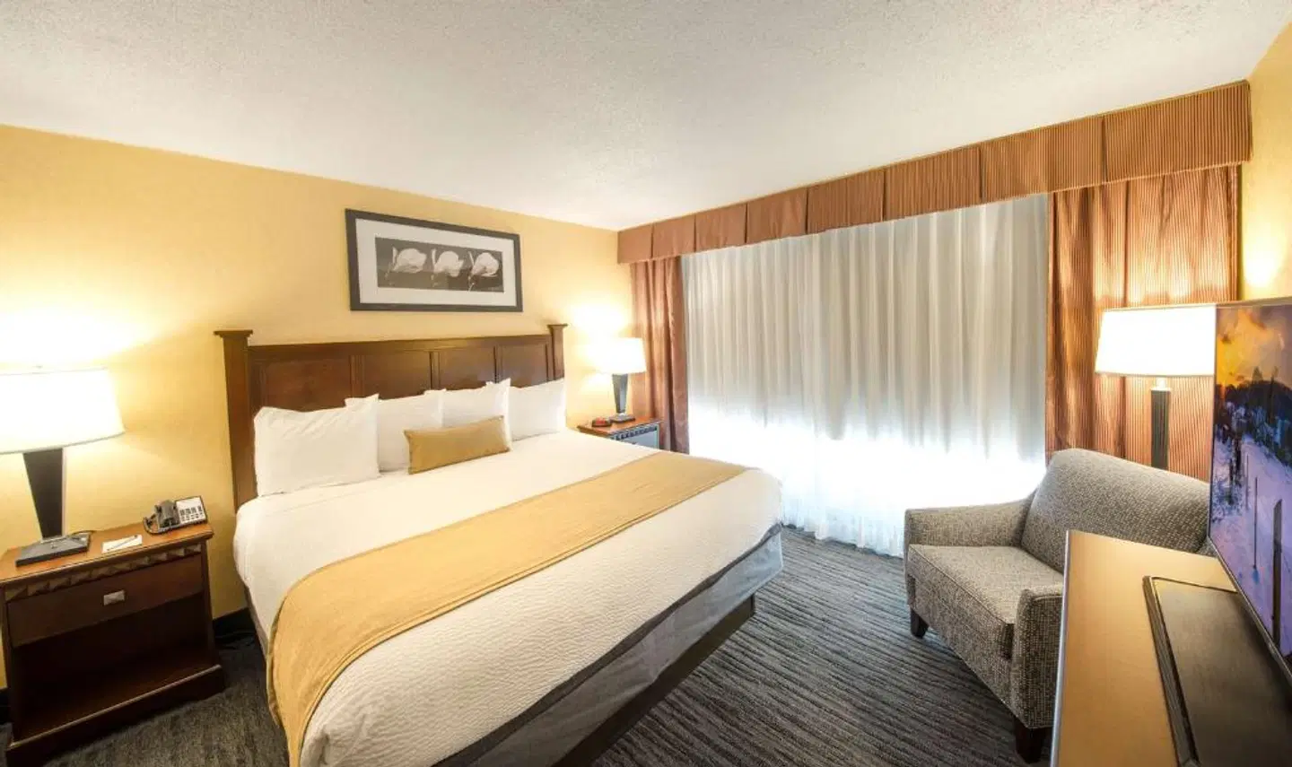 Best Western Plus Rockville ROOM_EXAMPLE