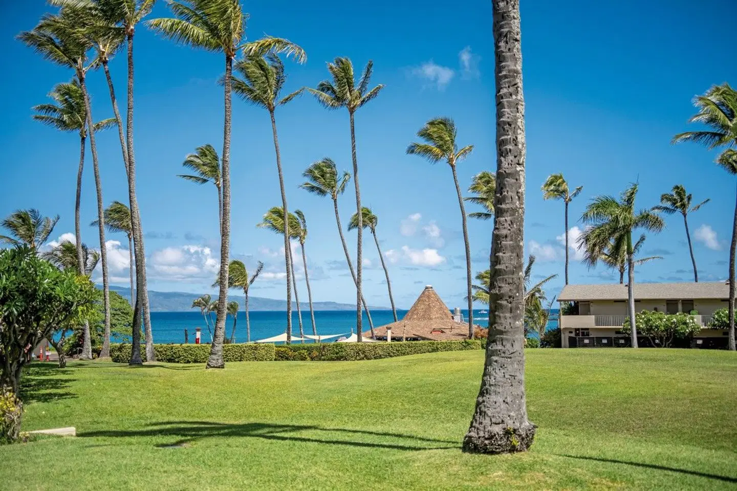 Napili Shores Maui by Outrigger GARDEN