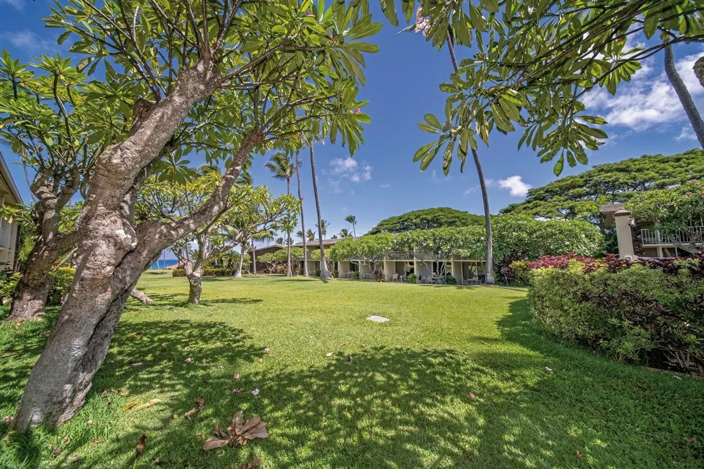 Napili Shores Maui by Outrigger GARDEN