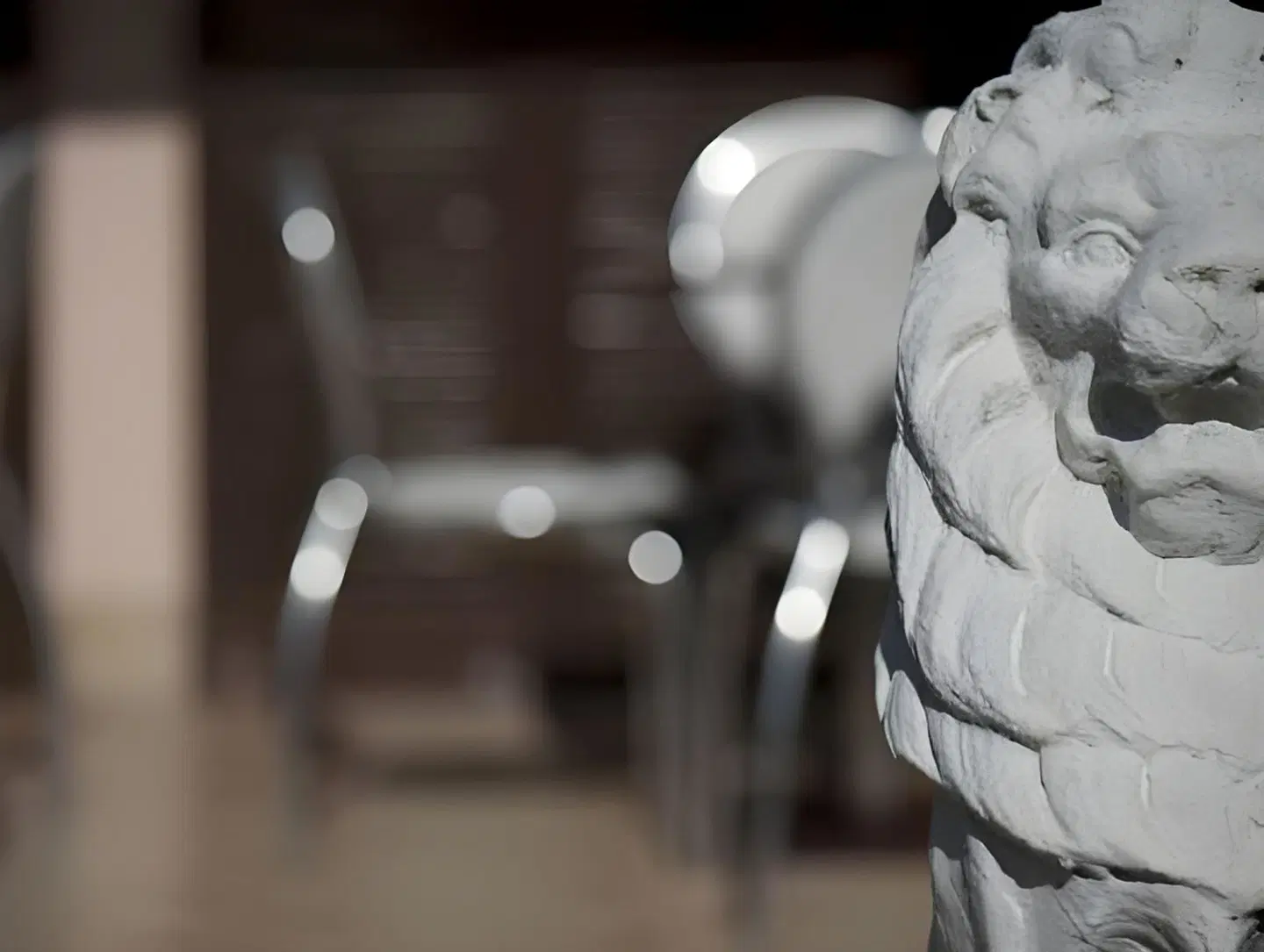 I Tre Leoni Bed & Breakfast ANIMAL