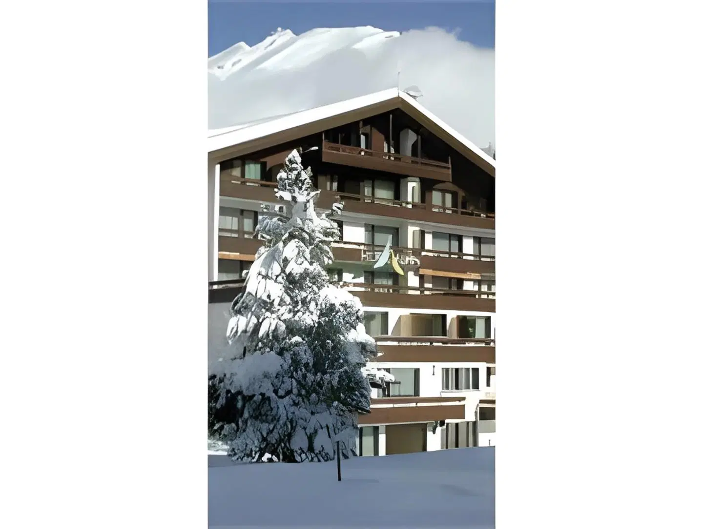 Alpin MODEL_IMPRESSION