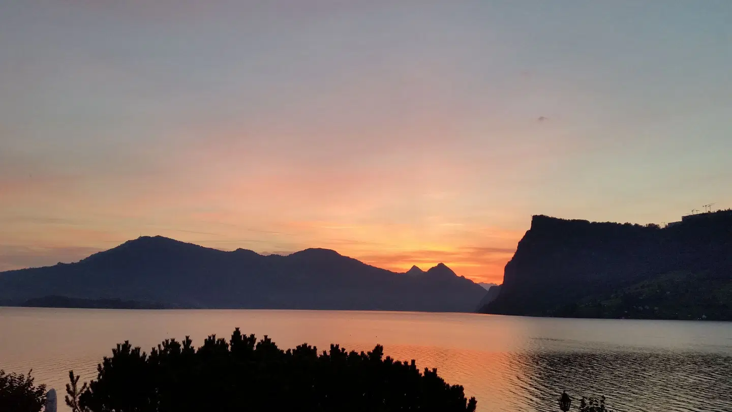 Seehotel Kastanienbaum LANDSCAPE