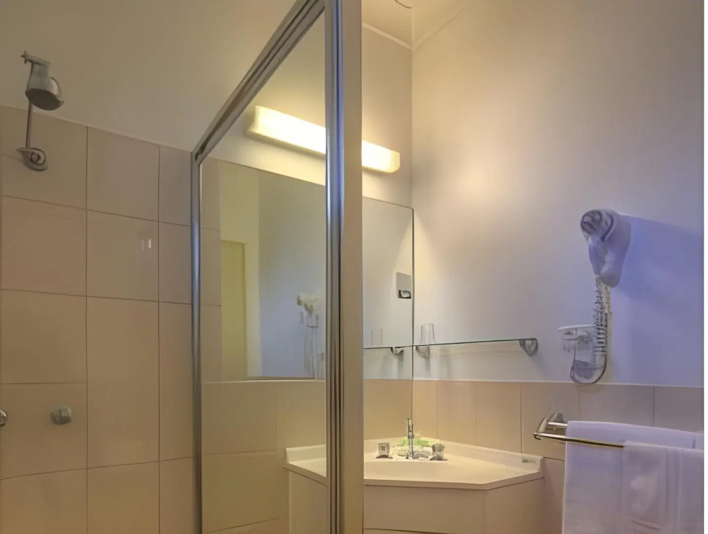 Bogong Moth Motel BATHROOM