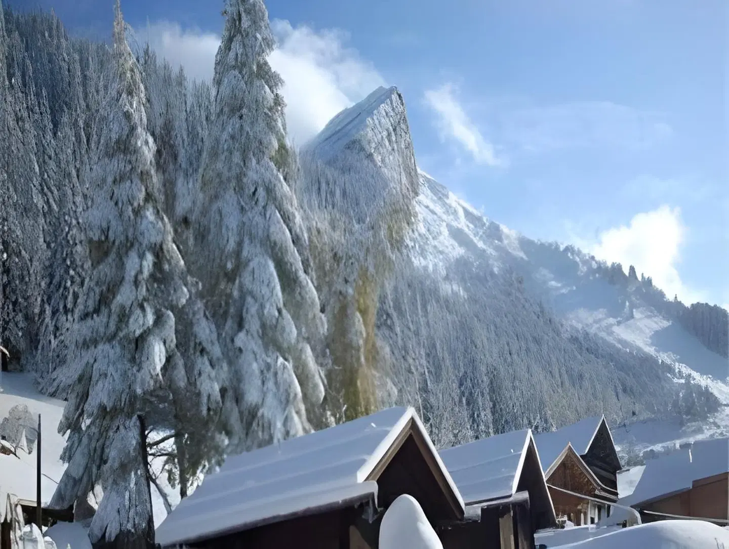 Les Chalets de La Serraz LANDSCAPE