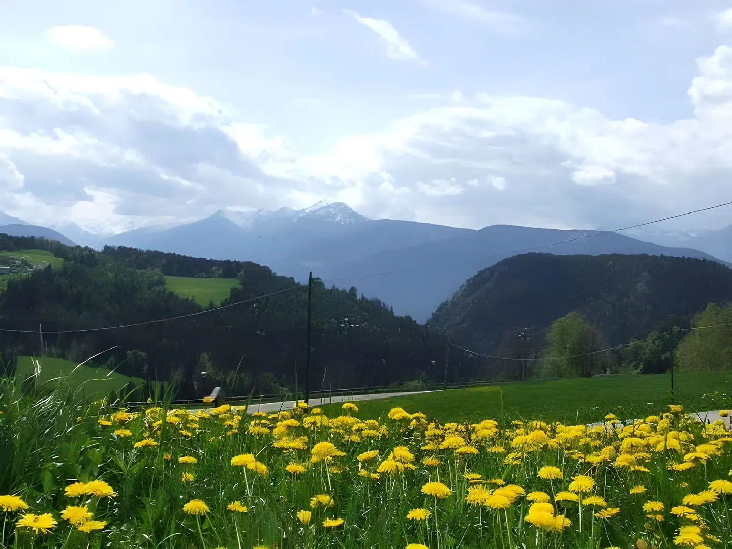 Hotel Avelina LANDSCAPE