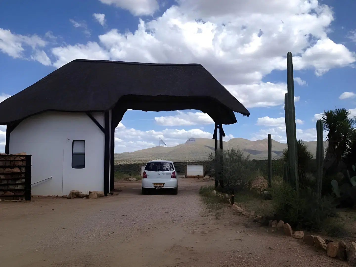 Trans Kalahari Inn Tiere