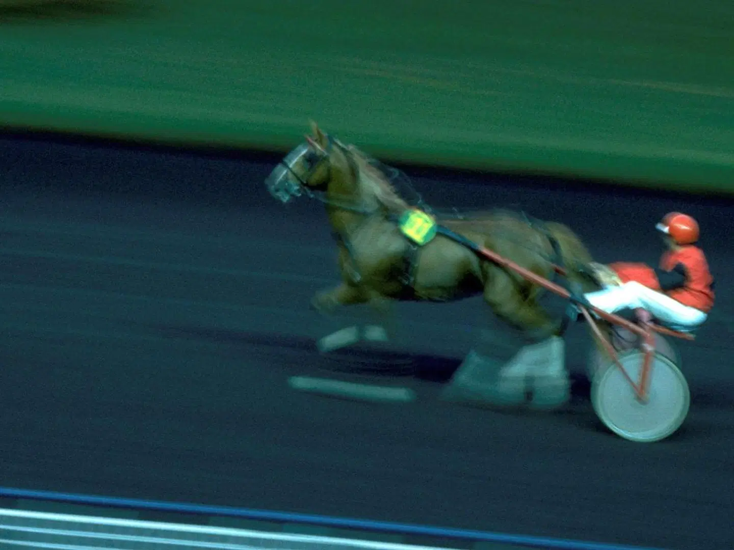 Mercure Paris Roissy Charles de Gaulle Hotel Tiere