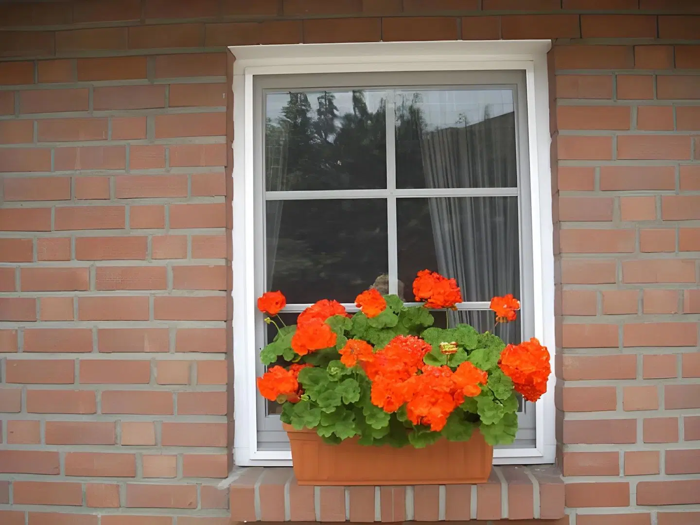 Pension Am Schwatten Berg ROOM_EXAMPLE