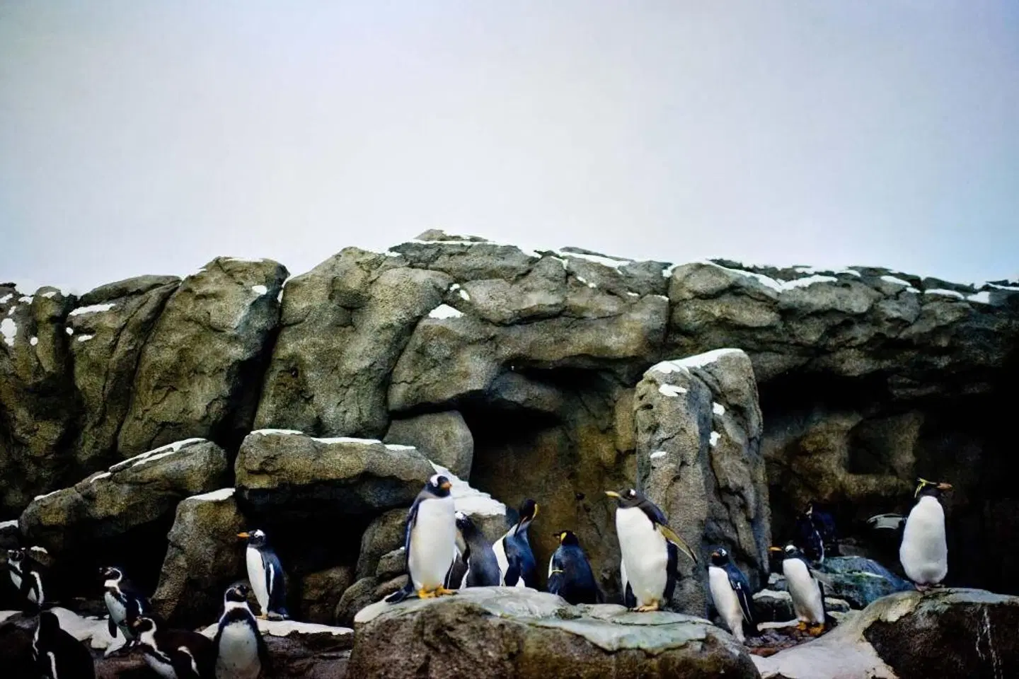 Calgary Airport Marriott In-Terminal Hotel LANDSCAPE