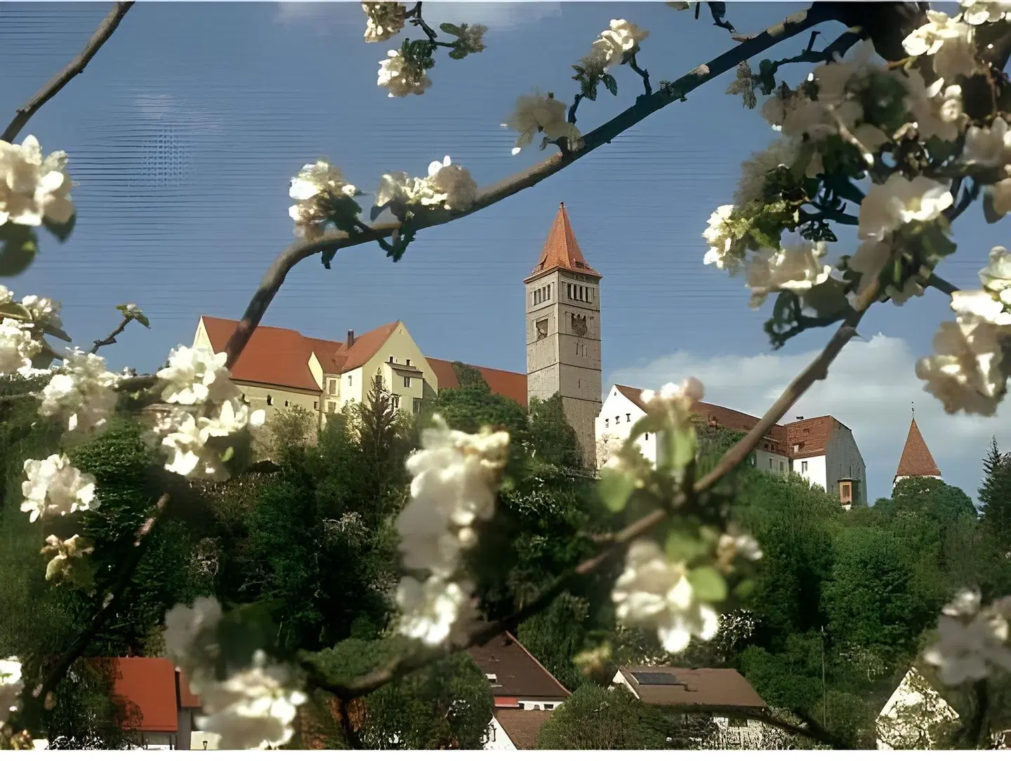 Forsthof OUTDOOR_POOL